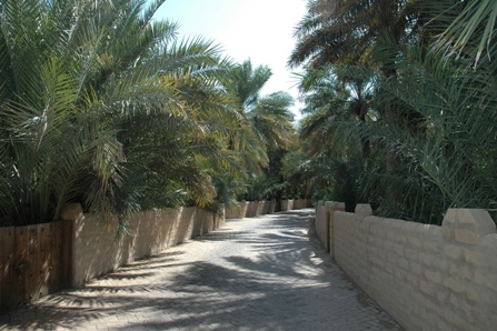 A palm-lined alley in Al Ain Oasis, United Arab Emirates