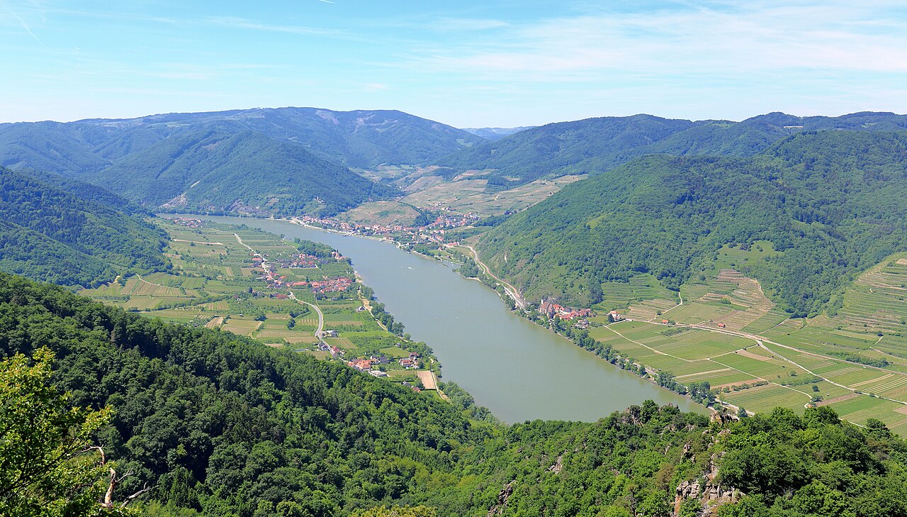Danube vineyards in the Wachau Valley, Austria
