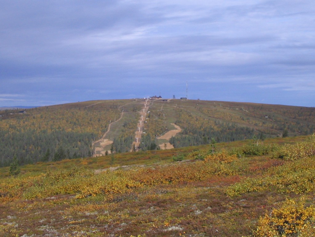 Kaunispää fell near Saariselkä in summer, Finland