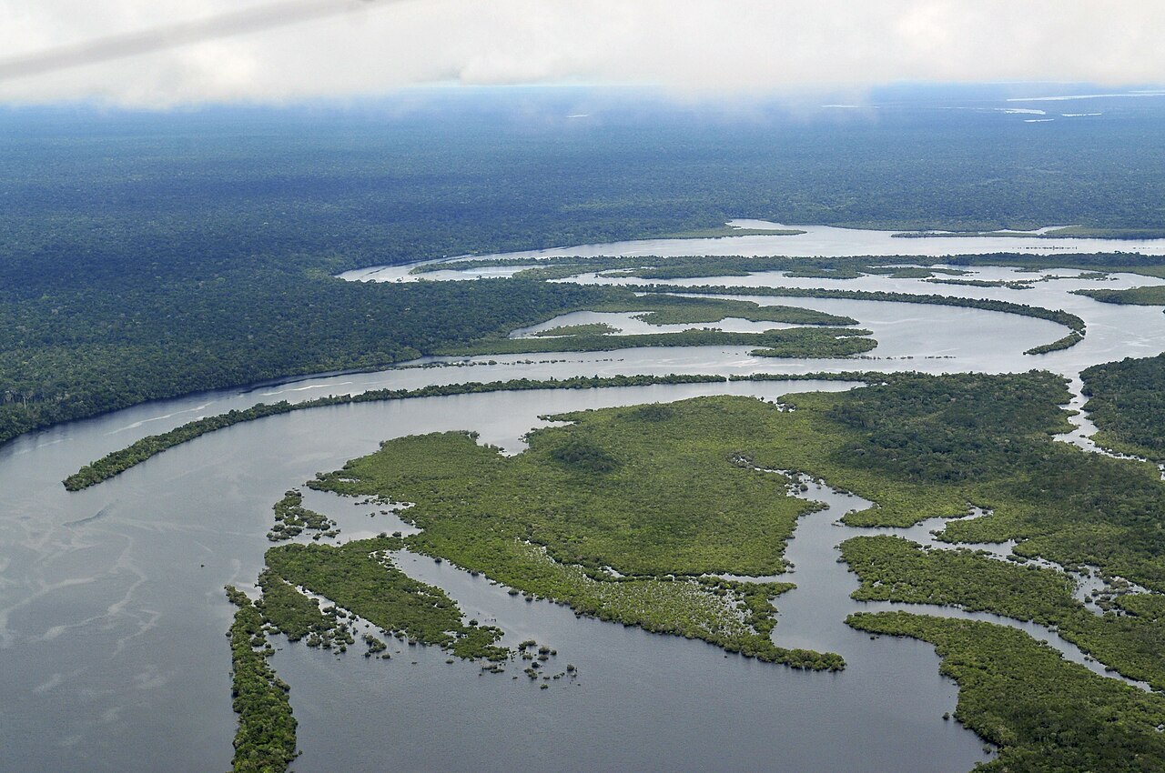 Amazon rainforest and waterways near Manaus, Brazil