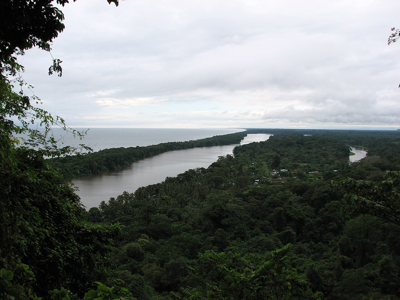Forest and canals in Tortuguero National Park, Costa Rica