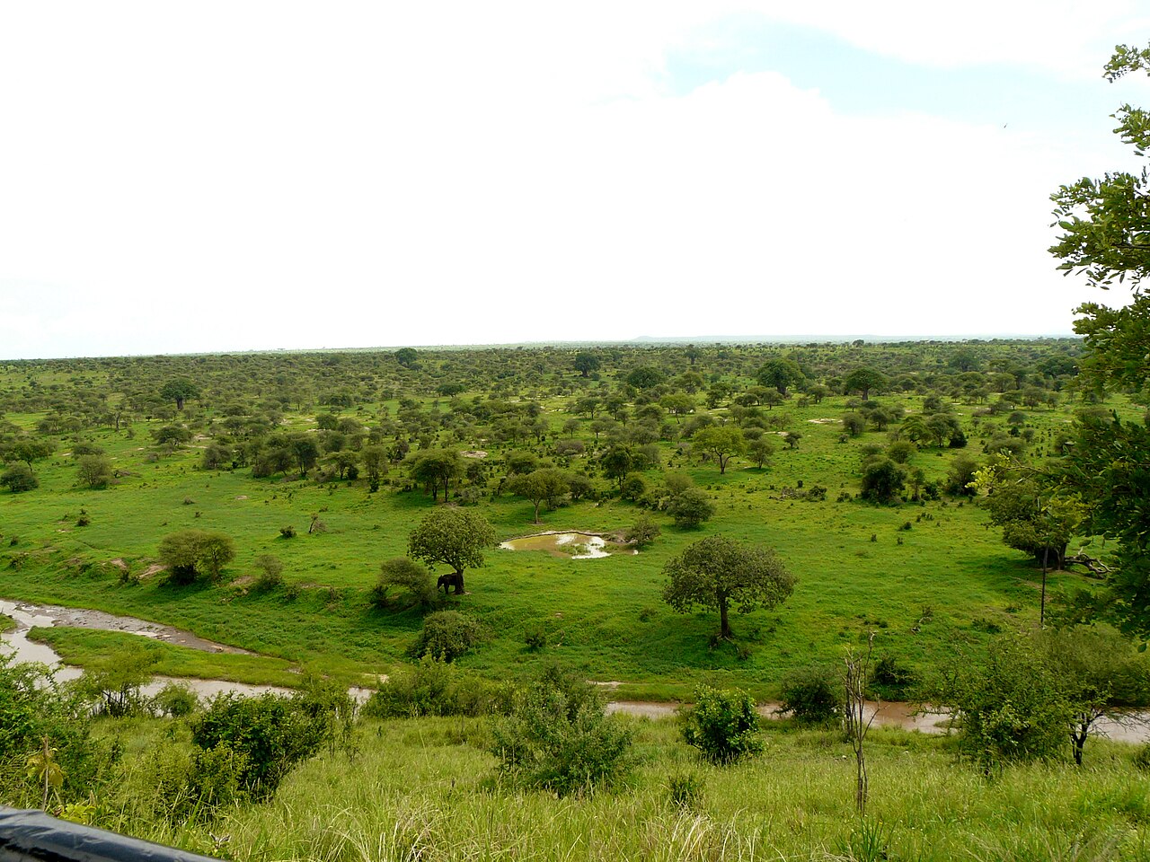 Savanna and river scenery in Tarangire National Park, Tanzania