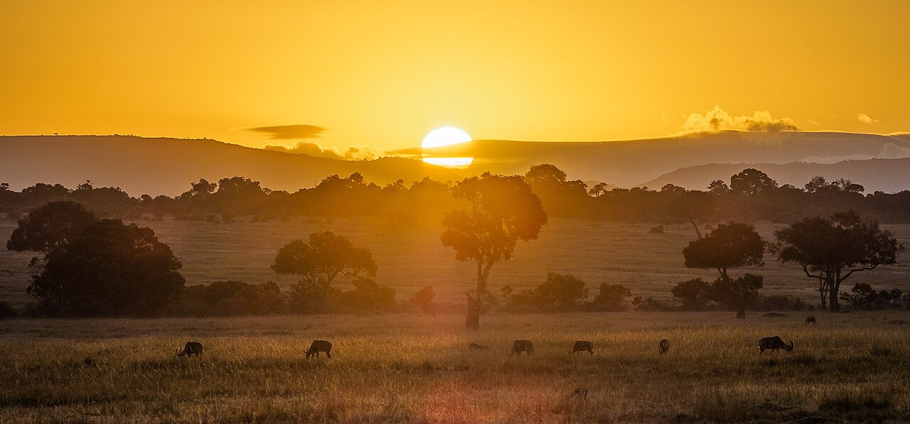Wildlife silhouettes at sunset in the Maasai Mara, Kenya